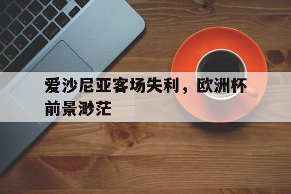 爱沙尼亚客场失利，欧洲杯前景渺茫